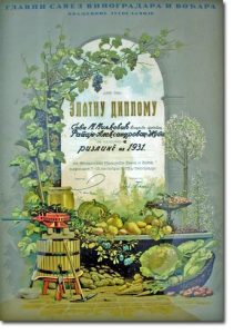 Zlatna diploma iz 1931.
